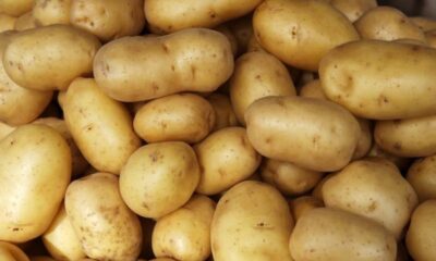 3x potatoes